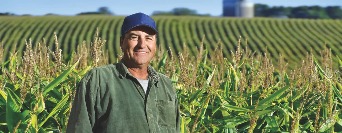 man smiling in front of wheat field